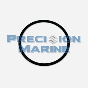 Fuel Filter O-Ring
