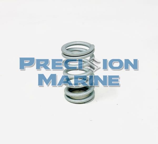 Valve Spring