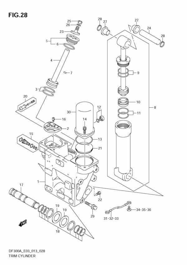 DF250AP 300AP 310001 Trim Cylinder