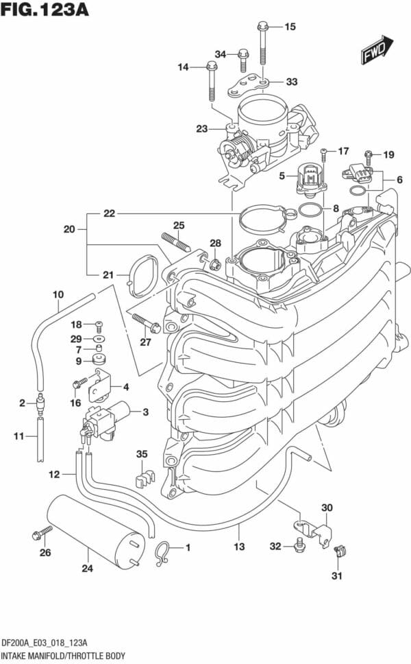 Intake Manifold/Throttle Body