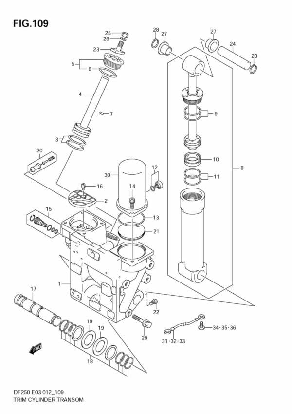 DF200/225/250 210001 Trim Cylinder TRANSOM(X) (DF200T E3)