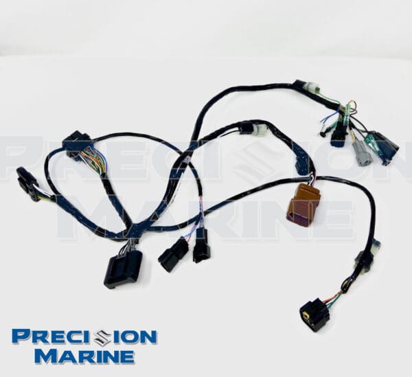 SPC 1.0 BCM Harness Assy