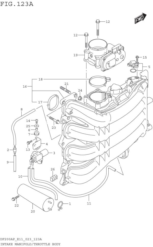 Intake Manifold/Throttle Body (020 021)