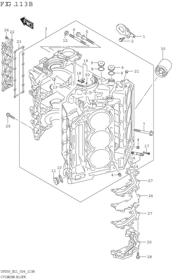 Cylinder Block (DF250ST)