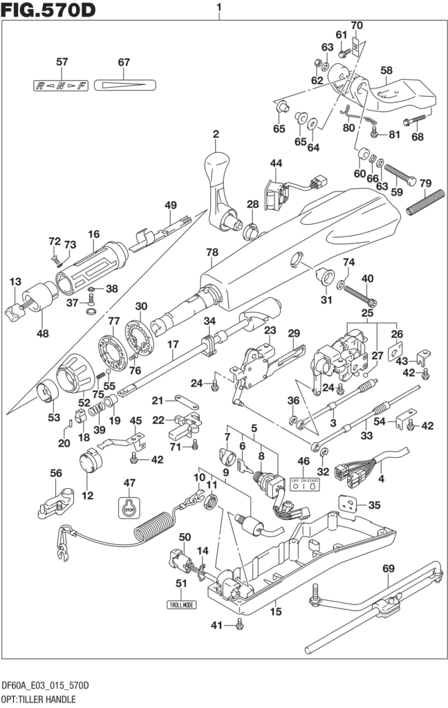 OPT: Tiller Handle (DF50AVT E03)